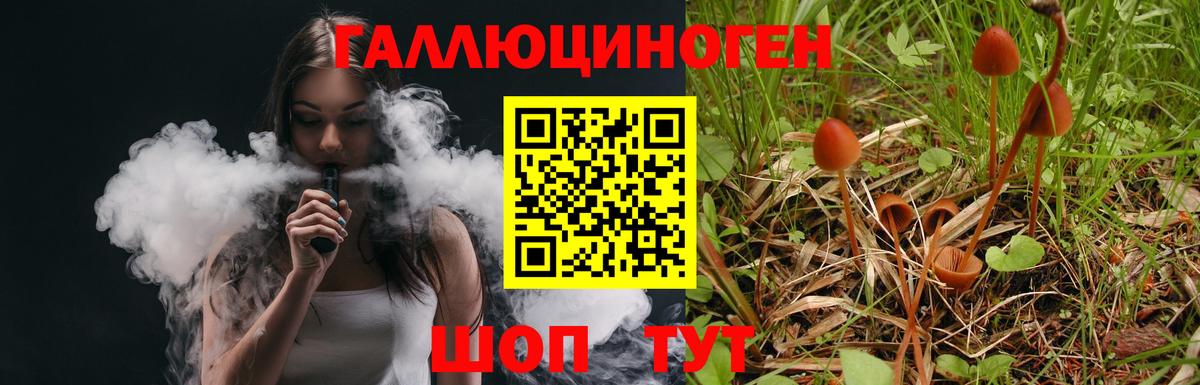 Алатырь  Псилоцибиновые грибы ЛСД  Галлюциногенные грибы Psilocybe  Вход с VPN 