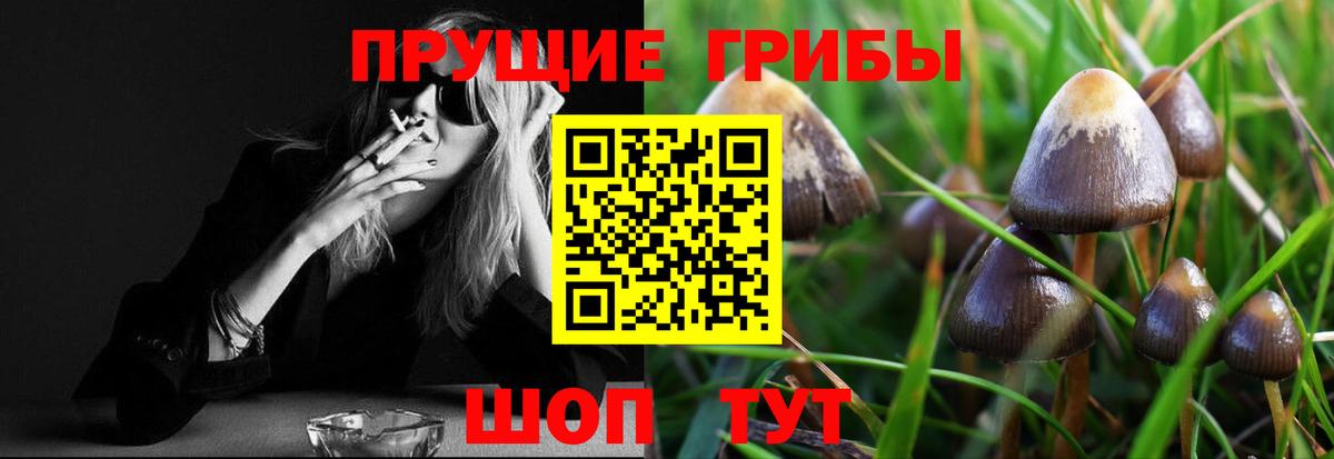 Псилоцибиновые грибы мицелий Алатырь